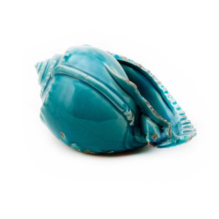 Ракушка Shell Turquoise #3 Бирюзовый Ракушка Shell Turquoise #3 Бирюзовый во Владивостоке | Loft Concept