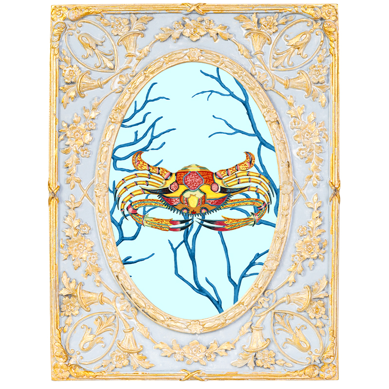 Картина в раме с золотым орнаментом Seashell Still Life 2 Мульти Золотой Голубой Картина в раме с золотым орнаментом Seashell Still Life 2 Мульти Золотой Голубой во Владивостоке | Loft Concept