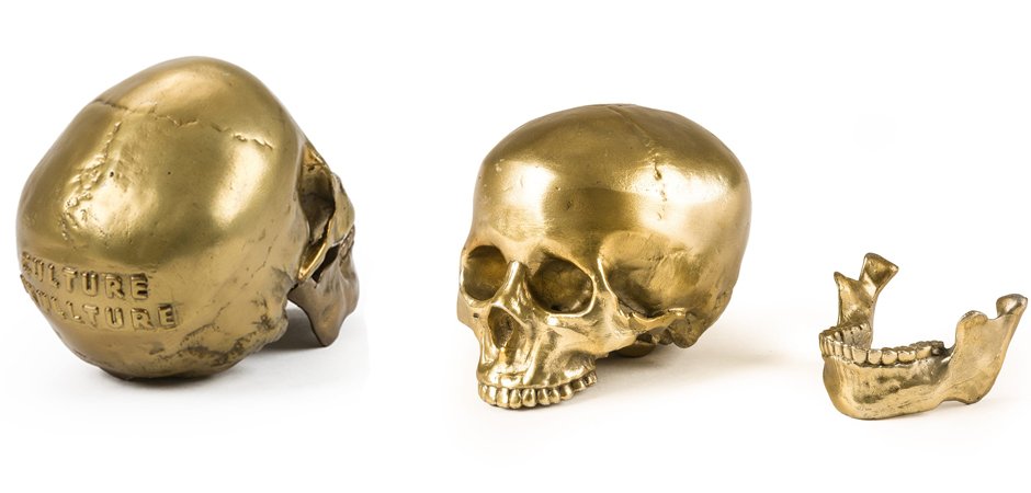 Статуэтка Seletti Wunderkrammer Human Skull Статуэтка Seletti Wunderkrammer Human Skull - Loft-Concept во Владивостоке