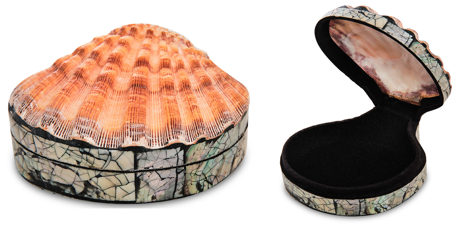 Шкатулка Shell Box II - фото