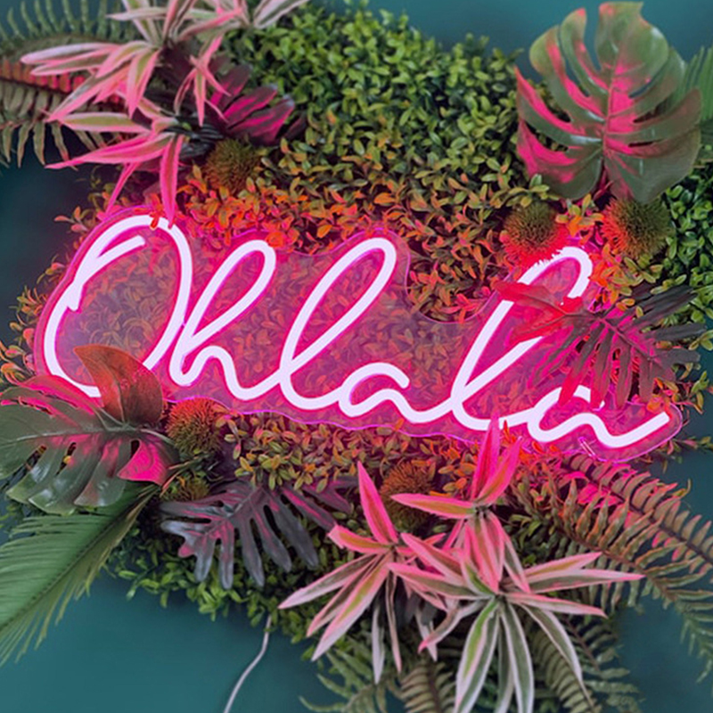 Неоновая настенная лампа Oh La La Neon Wall Lamp Розовый Розовый Прозрачный Неоновая настенная лампа Oh La La Neon Wall Lamp Розовый Розовый Прозрачный во Владивостоке | Loft Concept