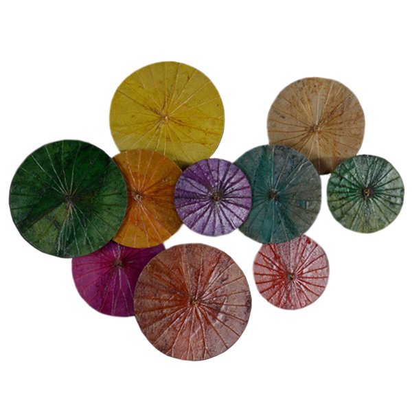 Арт-объект Disc wall art Lotus leaves Мульти Арт-объект Disc wall art Lotus leaves Мульти во Владивостоке | Loft Concept