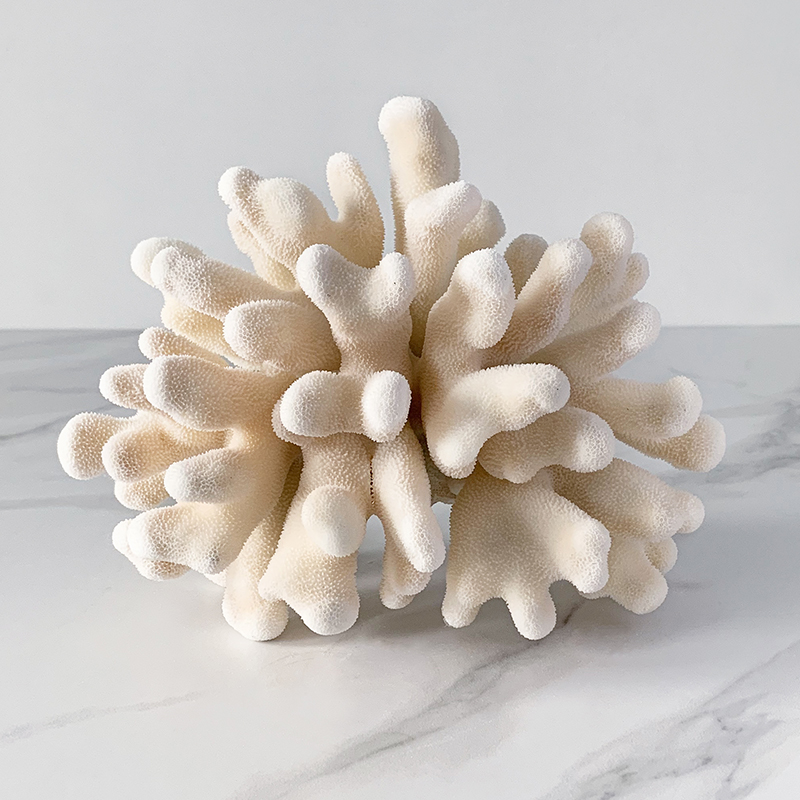 Статуэтка Elkhorn Coral Статуэтка Elkhorn Coral во Владивостоке | Loft Concept