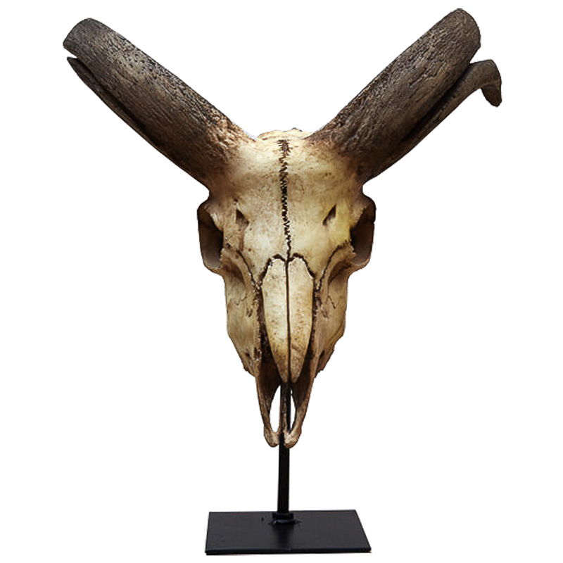 Аксессуар Goat Skull Бежевый Коричневый Черный Аксессуар Goat Skull Бежевый Коричневый Черный во Владивостоке | Loft Concept