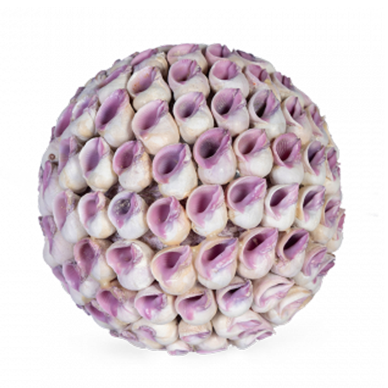 Статуэтка Coral Decor ball Коричневый во Владивостоке | Loft Concept 