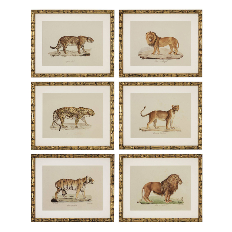Комплект постеров Eichholtz Prints Lion Tigre Jaguar set of 6 Золотой Бежевый Мульти Комплект постеров Eichholtz Prints Lion Tigre Jaguar set of 6 Золотой Бежевый Мульти во Владивостоке | Loft Concept
