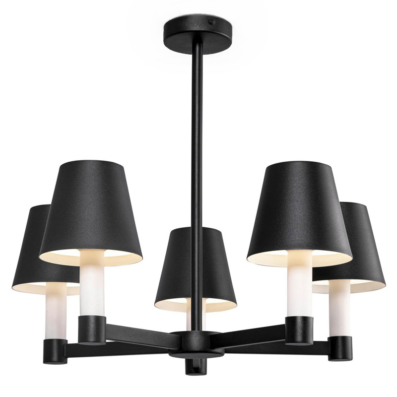 Люстра Eremon Chandelier 5 Черный во Владивостоке | Loft Concept 