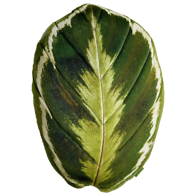Декоративная подушка Botanical Cushion Calathea Medallion Зеленый Декоративная подушка Botanical Cushion Calathea Medallion Зеленый во Владивостоке | Loft Concept