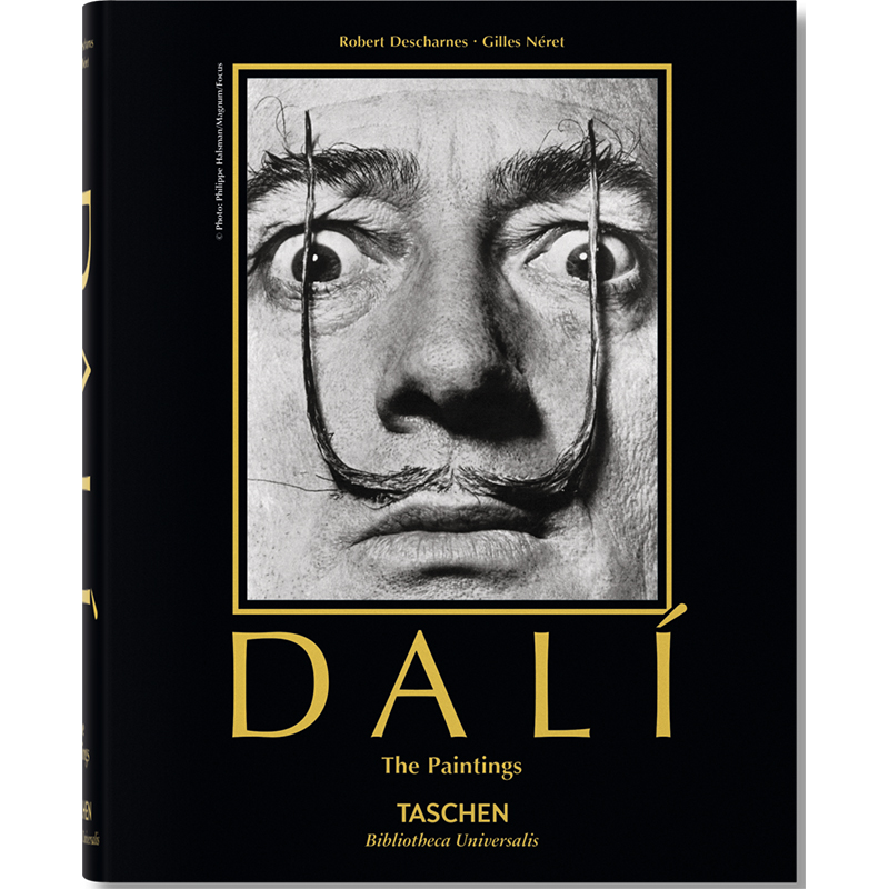 Salvador Dali. Paintings Salvador Dali. Paintings во Владивостоке | Loft Concept