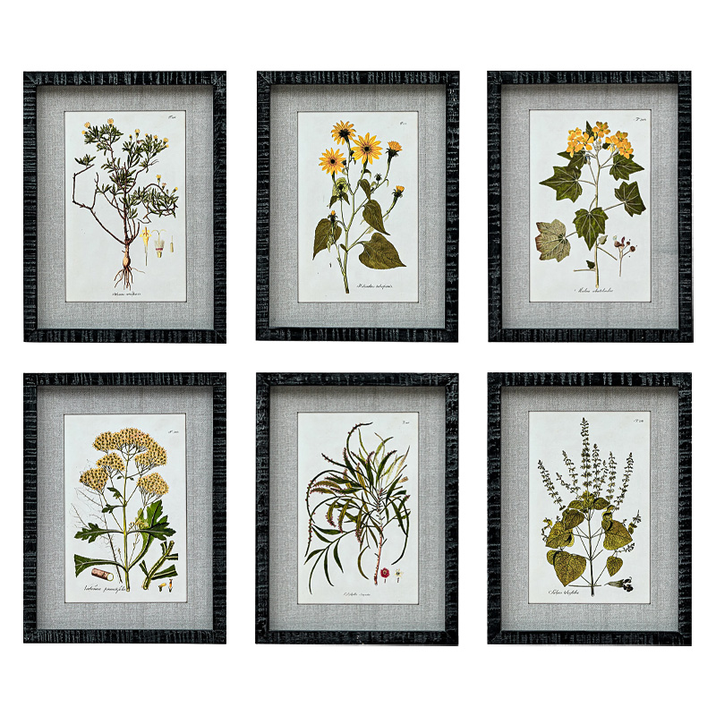 Набор постеров Herbarium Yellow Flowers Мульти Набор постеров Herbarium Yellow Flowers Мульти во Владивостоке | Loft Concept
