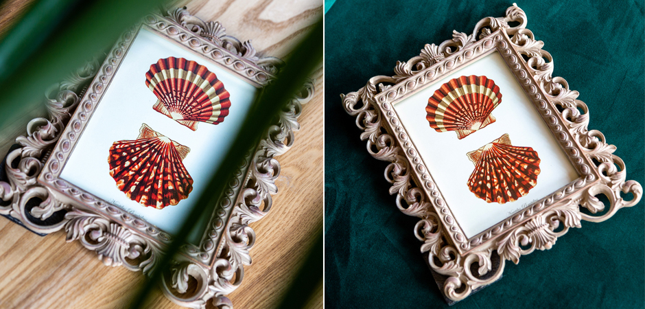 Постер Red Scallop Poster - Loft-Concept во Владивостоке