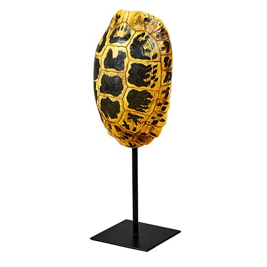 Статуэтка Yellow Tortoise Shell Черный Желтый Статуэтка Yellow Tortoise Shell Черный Желтый во Владивостоке | Loft Concept