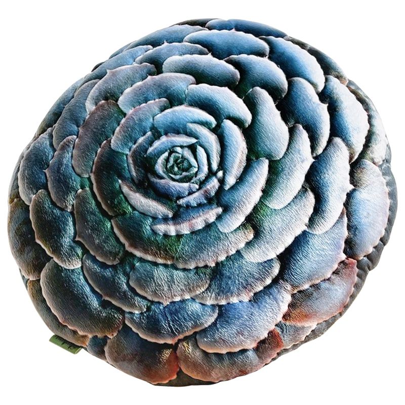 Декоративная подушка Botanical Cushion Succulentus Зеленый Зеленый шалфей Бирюзовый Декоративная подушка Botanical Cushion Succulentus Зеленый Зеленый шалфей Бирюзовый во Владивостоке | Loft Concept