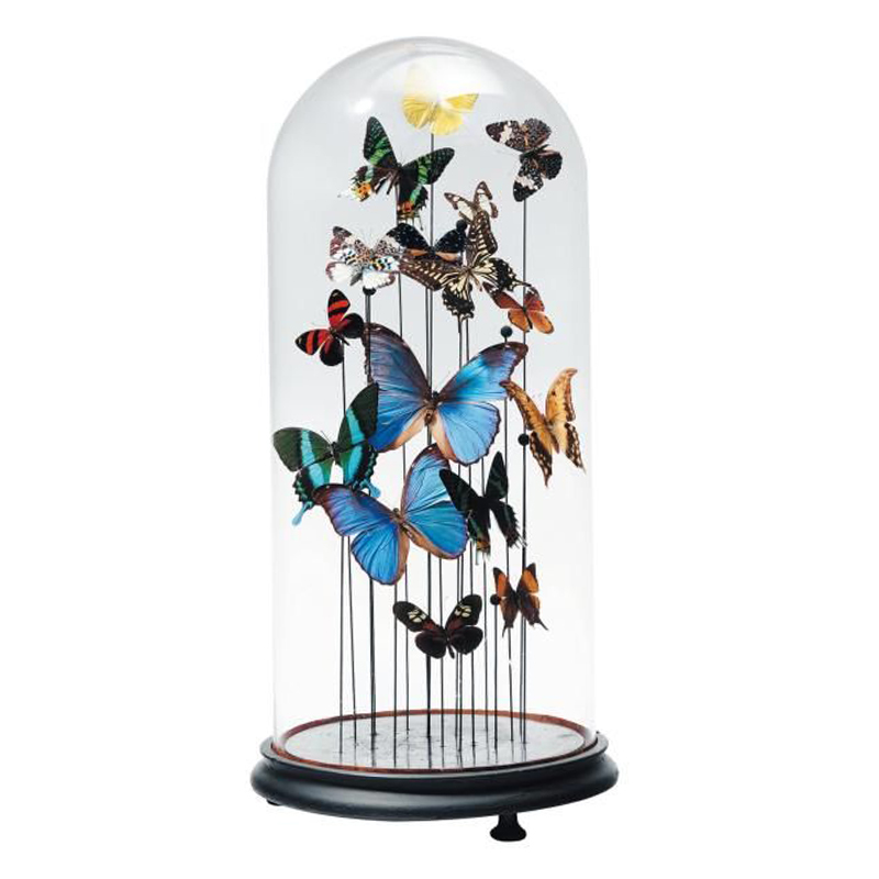 Статуэтка 15 Butterflies Glass Cloche Статуэтка 15 Butterflies Glass Cloche во Владивостоке | Loft Concept