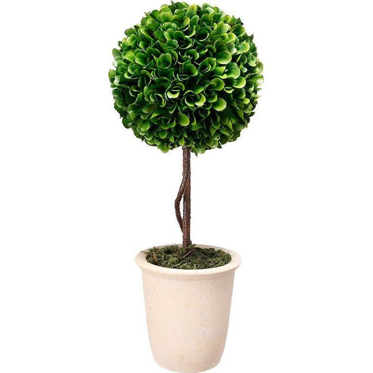 Декоративный искусственное растение Single boxwood Зеленый Бежевый Коричневый Декоративный искусственное растение Single boxwood Зеленый Бежевый Коричневый во Владивостоке | Loft Concept