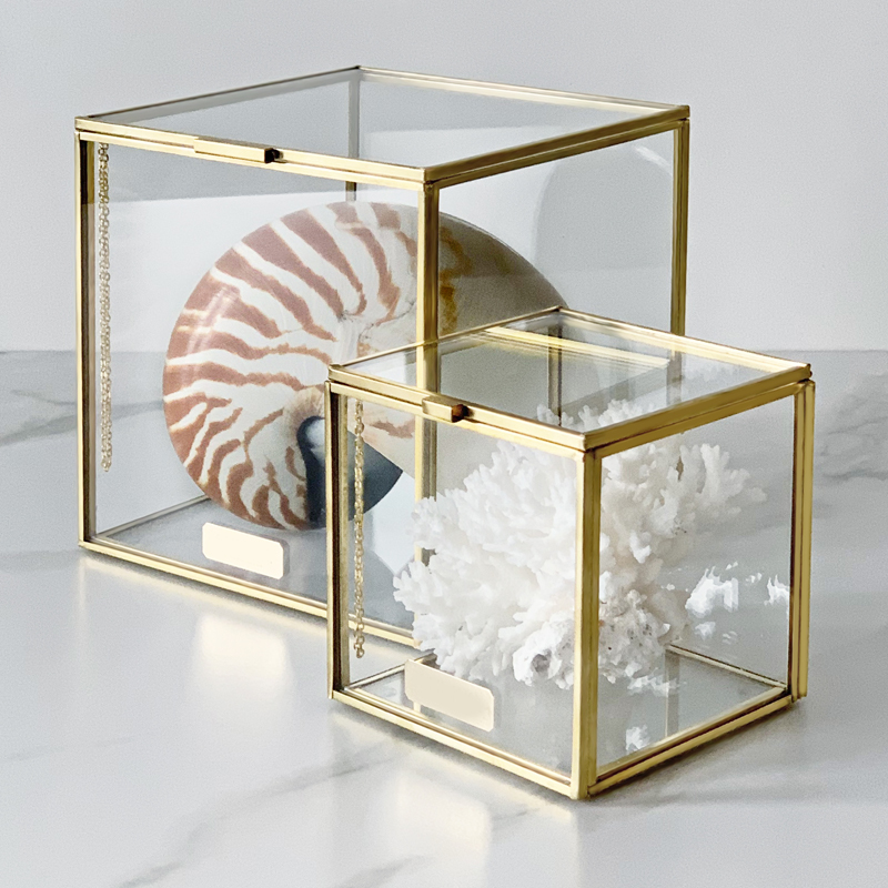 Комплект статуэток Natural Coral & Nautilus Pompilius Glass Box Комплект статуэток Natural Coral & Nautilus Pompilius Glass Box во Владивостоке | Loft Concept