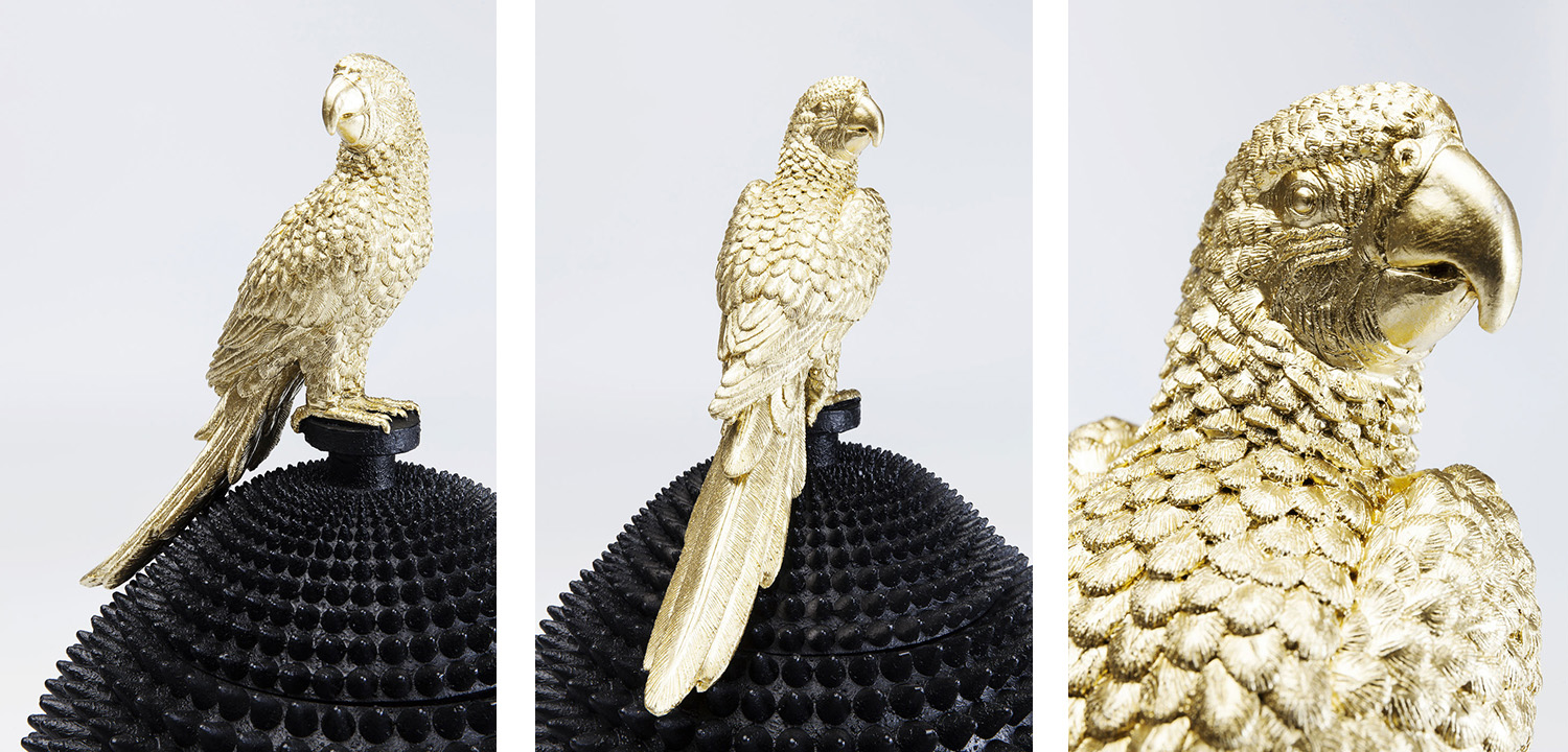 Шкатулка Parrot - фото