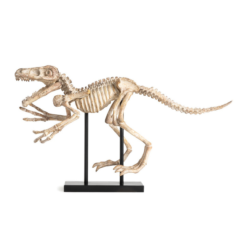 Статуэтка Dinosaur Skeleton big Бежево-серый во Владивостоке | Loft Concept 