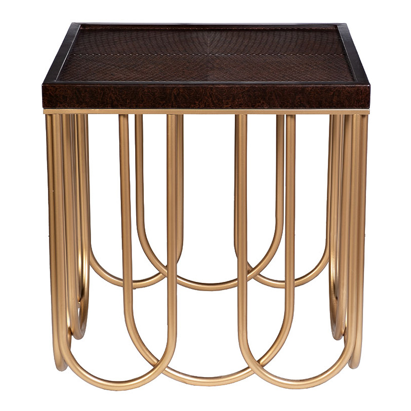 Приставной стол Cassel Side Table Дерево Табак Золотой Приставной стол Cassel Side Table Дерево Табак Золотой во Владивостоке | Loft Concept