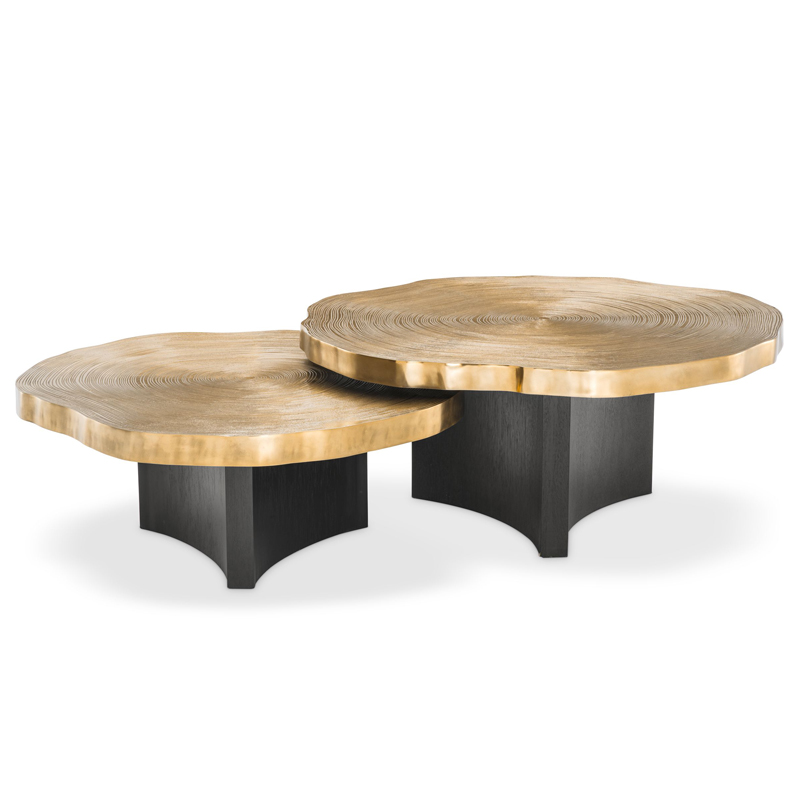 Комплект кофейных столов Eichholtz Coffee Table Thousand Oaks set of 2 Черный Латунь Комплект кофейных столов Eichholtz Coffee Table Thousand Oaks set of 2 Черный Латунь во Владивостоке | Loft Concept