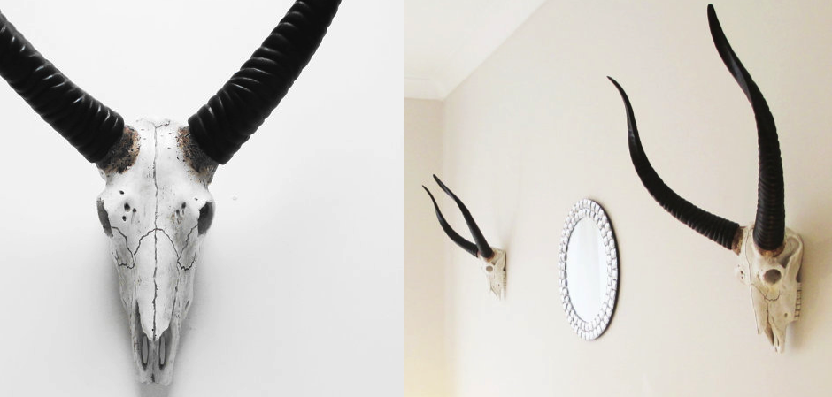 Череп антилопы с черными рогами - Loft-Concept во Владивостоке