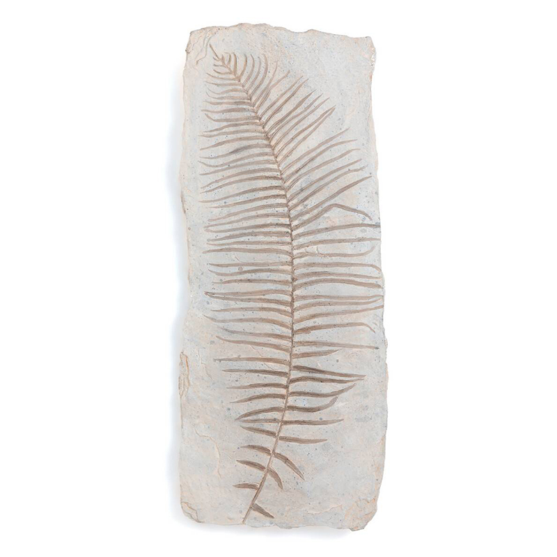 Аксессуар на стену Tropical Leaf Бежево-серый Аксессуар на стену Tropical Leaf Бежево-серый во Владивостоке | Loft Concept