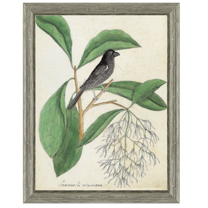 Постер Black Bird & White Flowers Постер Black Bird & White Flowers во Владивостоке | Loft Concept