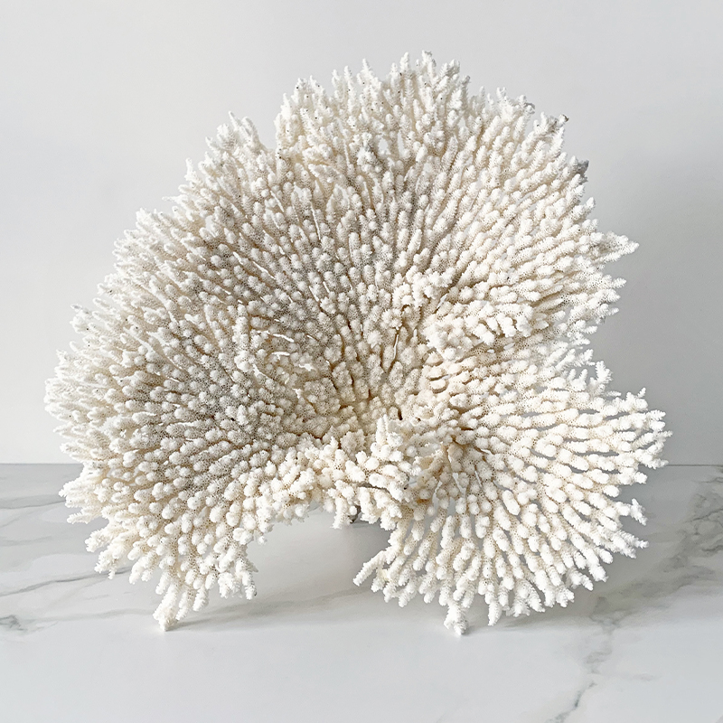Статуэтка Table Coral Статуэтка Table Coral во Владивостоке | Loft Concept