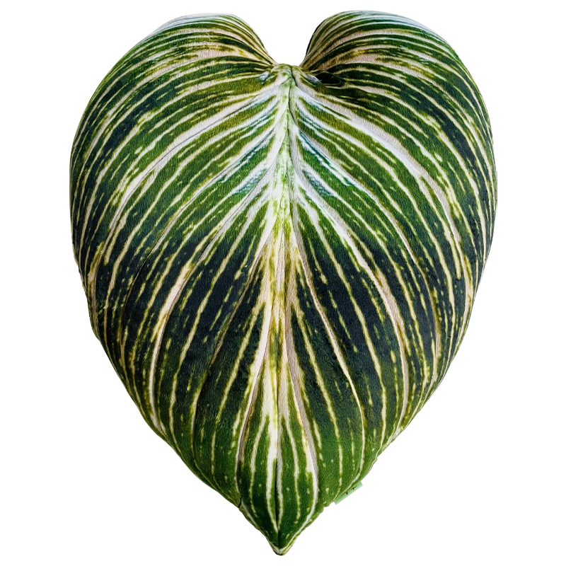 Декоративная подушка Botanical Cushion Philodendron Birkin Зеленый Салатовый Белый Декоративная подушка Botanical Cushion Philodendron Birkin Зеленый Салатовый Белый во Владивостоке | Loft Concept