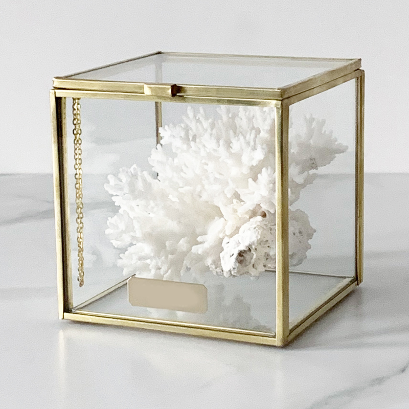 Статуэтка Natural Coral Glass Box S Статуэтка Natural Coral Glass Box S во Владивостоке | Loft Concept