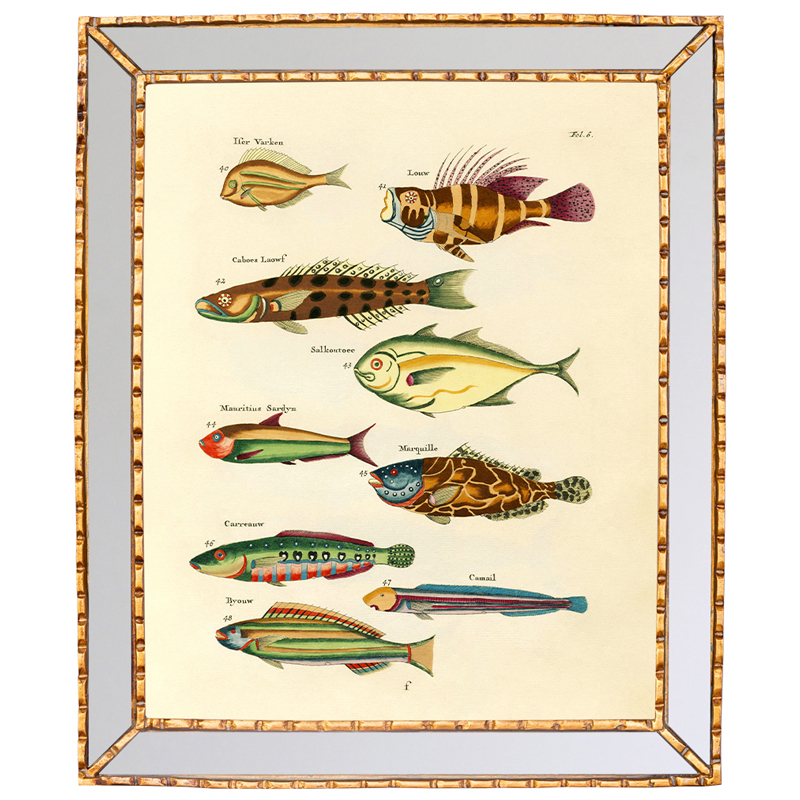Постер в зеркальной раме Fish Guide 2 Мульти Золотой Постер в зеркальной раме Fish Guide 2 Мульти Золотой во Владивостоке | Loft Concept