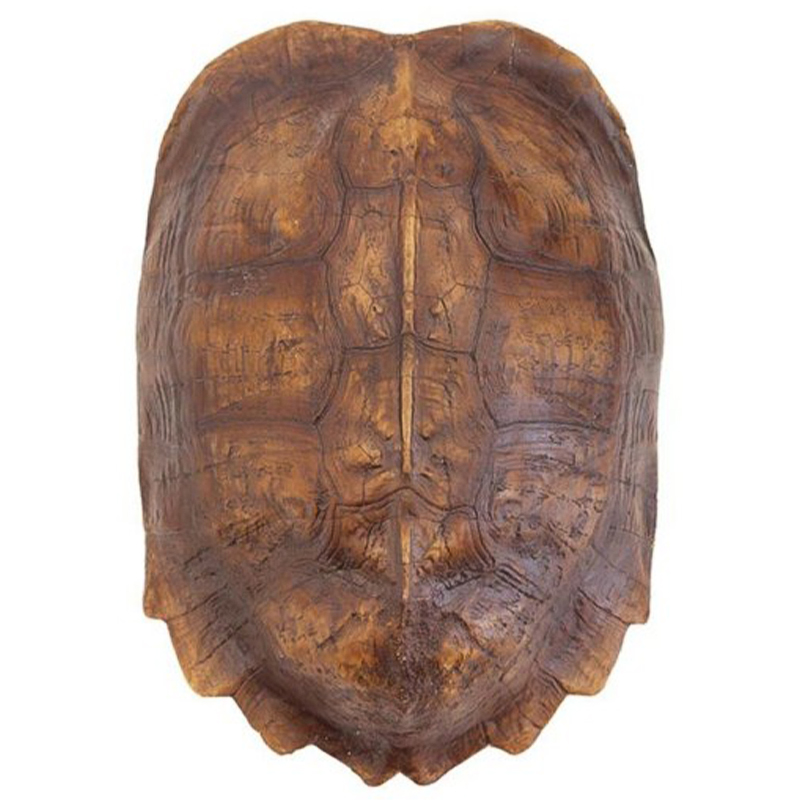 Аксессуар Turtle Shell Natural Light Brown Коричневый Аксессуар Turtle Shell Natural Light Brown Коричневый во Владивостоке | Loft Concept