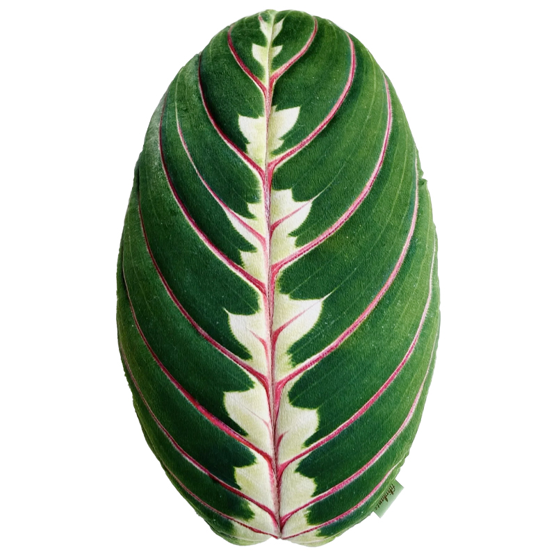 Декоративная подушка Botanical Cushion Maranta Trikolor Зеленый Бургундский красный Декоративная подушка Botanical Cushion Maranta Trikolor Зеленый Бургундский красный во Владивостоке | Loft Concept