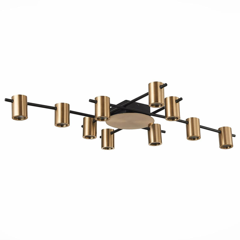 Потолочный светильник Aigle Ceiling Light 10 Черный Латунь Потолочный светильник Aigle Ceiling Light 10 Черный Латунь во Владивостоке | Loft Concept