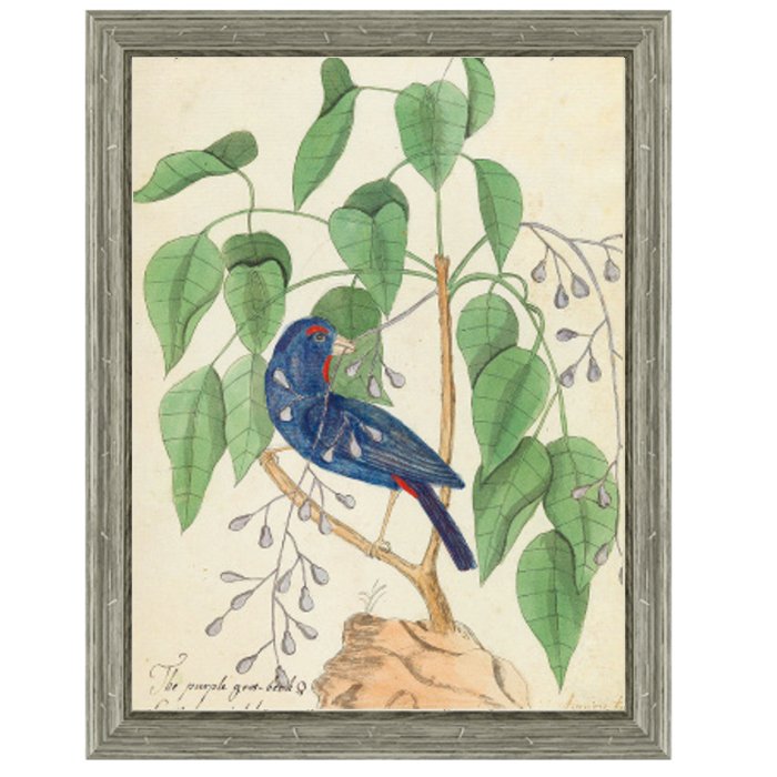 Постер Blue Bird In Foliage  во Владивостоке | Loft Concept 
