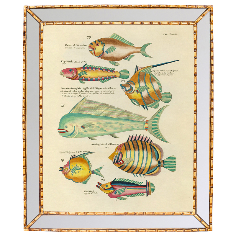 Постер в зеркальной раме Fish Guide 6 Мульти Золотой во Владивостоке | Loft Concept 