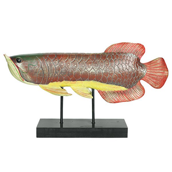 Аксессуар для интерьера рыба Colored Fish Аксессуар для интерьера рыба Colored Fish во Владивостоке | Loft Concept