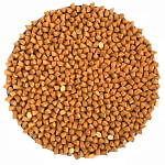 Панно «Gold Star» варинант исполнения - 1 | Loft Concept во Владивостоке