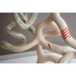 Скульптура «Papañca» варинант исполнения - 3 | Loft Concept во Владивостоке