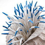 Статуэтка тропический фрукт Tropical Fruit White Blue варинант исполнения - 1 | Loft Concept во Владивостоке