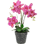 Декоративный искусственное растение Pink orchid варинант исполнения - 1 | Loft Concept во Владивостоке