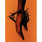 Подарочная книга величайший фотограф Альберт Уотсон The Vienna album Albert Watson варинант исполнения - 4 | Loft Concept во Владивостоке