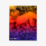 Редкое подарочное издание Yayoi Kusama: 1945 to Now варинант исполнения - 3 | Loft Concept во Владивостоке