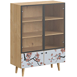 Витрина с изображением на дверцах Elise Cupboard варинант исполнения - 6 | Loft Concept во Владивостоке