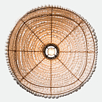 Подвесной светильник в виде купола декорированный белыми деревянными бусинами White Wooden Beads Hanging Lamp варинант исполнения - 4 | Loft Concept во Владивостоке