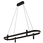 Люстра подвесная овальная черная  Black Light Fixtures варинант исполнения - 1 | Loft Concept во Владивостоке