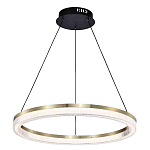 Люстра подвесная круглая светодиодная с золотым каркасом Ring Horizontal варинант исполнения - 1 | Loft Concept во Владивостоке
