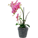 Декоративный искусственное растение Pink orchid варинант исполнения - 4 | Loft Concept во Владивостоке