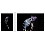 Монография художника Tavares Strachan - There is Light Somewhere варинант исполнения - 6 | Loft Concept во Владивостоке