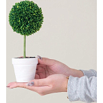 Декоративный искусственное растение Boxwood One варинант исполнения - 6 | Loft Concept во Владивостоке